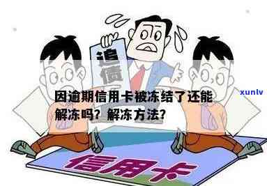 因逾期信用卡被冻结了还能解冻吗？