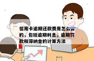 信用卡还款逾期费用-信用卡还款逾期费用怎么算