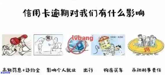 信用卡逾期档案是啥意思，解析信用卡逾期档案：了解其含义与影响