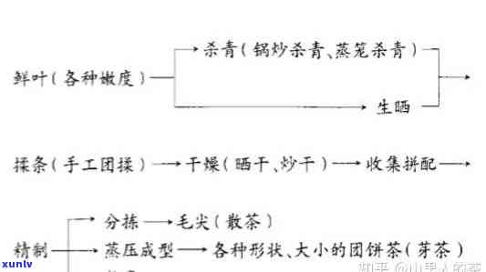 生普 *** 工序，生普 *** 工序：探究其制备过程的关键步骤