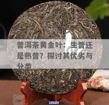 黄金叶普洱茶生茶好吗还是泡好喝，黄金叶普洱茶：生茶与泡茶，哪个更香醇？