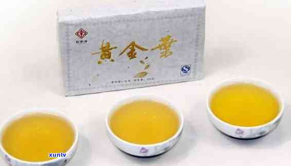 黄金叶普洱茶生茶好吗还是泡好喝，黄金叶普洱茶：生茶与泡茶，哪个更香醇？