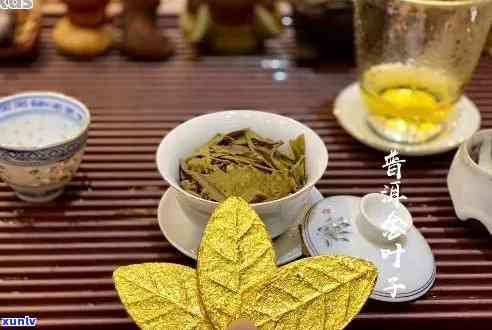 黄金叶普洱茶生茶好吗还是泡好喝，黄金叶普洱茶：生茶与泡茶，哪个更香醇？