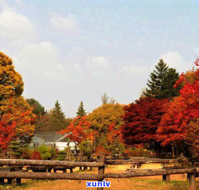 春川玉产地在哪，春川在哪，春川是哪个，春川玉价格，春川有什么好玩的地方