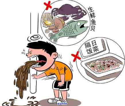 喝生普闹肚子：如何预防食物中及处理食品安全问题