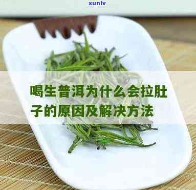 喝生普闹肚子：如何预防食物中及处理食品安全问题