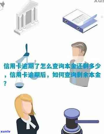 信用卡逾期怎么查看本金和利息各多少？