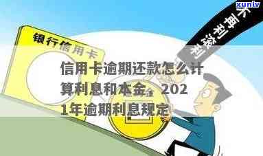 信用卡逾期本金怎样计算利息，信用卡逾期本金利息计算 *** 解析