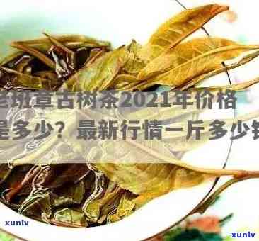 2021年老班章普洱茶价格，2021年老班章普洱茶价格: 一年间的价格趋势揭秘