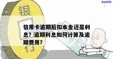 信用卡逾期本金怎样计算-信用卡逾期本金怎样计算利息