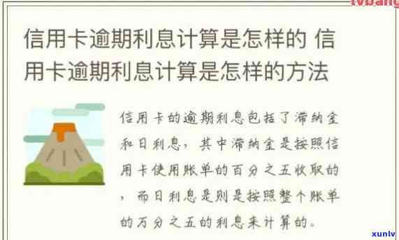 信用卡逾期无限叠加利息怎么算，信用卡逾期利息累积：如何计算无限叠加的费用？