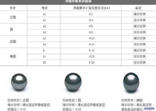 龙泽润宝珍珠项链品质及真伪验证，公司档次评价