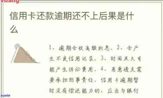 信用卡逾期该不该借款-信用卡逾期该不该借款呢