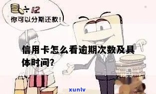 怎么查信用卡逾期的具体时间