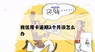 我信用卡逾期2个月该怎么办？