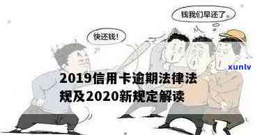 乌鸦手养：全方位指南，从选购到养护，让你轻松拥有健康快乐的乌鸦