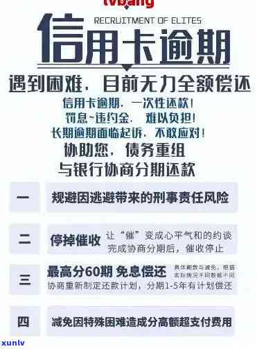 十几张信用卡逾期，揭秘：十几张信用卡逾期现象背后的真相