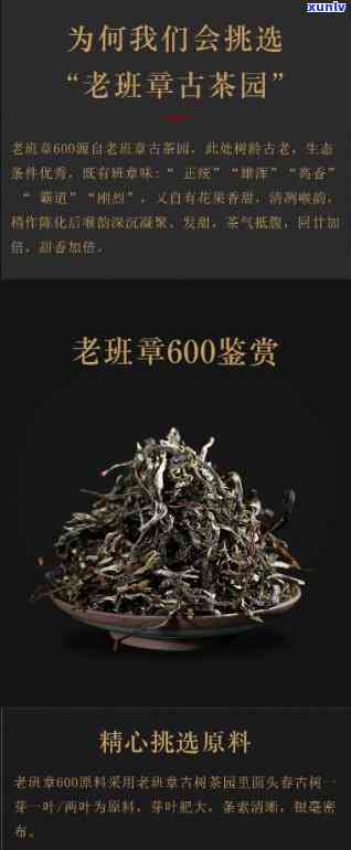 老班章600年古树茶价格及相关信息