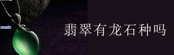 龙是翡翠原石特点-龙是翡翠原石特点吗