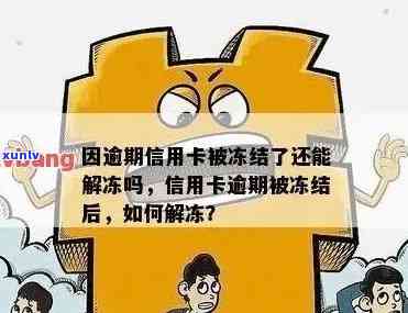 信用卡逾期冻结可以还更低还款吗，信用卡逾期冻结：是否可采取更低还款？