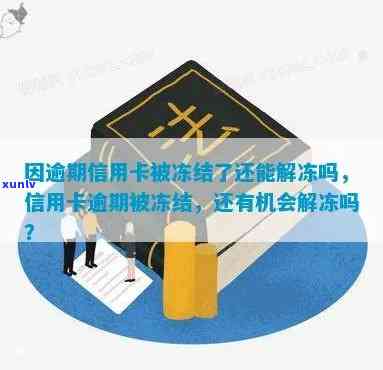 信用卡逾期冻结可以pos-信用卡逾期冻结可以解冻吗