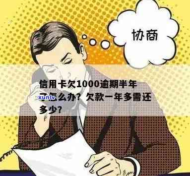 信用卡逾期半年还了1000多，欠款清还后如何解决？