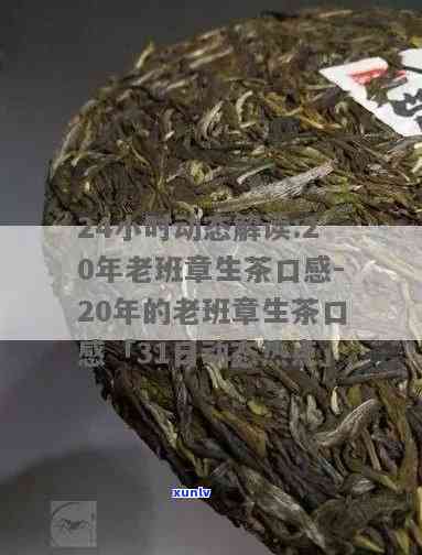 20年的老班章生茶口感和特点视频介绍