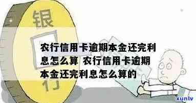 农行信用卡逾期还本金-农行信用卡逾期还本金会怎么样