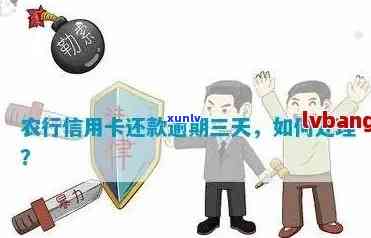 仙桃农行信用卡逾期处理-仙桃农行信用卡逾期处理 *** 号码