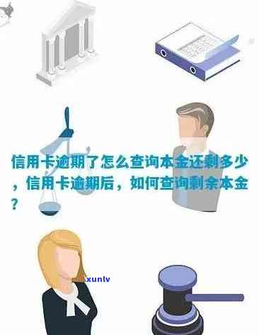 信用卡逾期后如何查询-信用卡逾期后如何查询本金