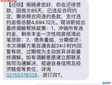 逾期还款信息图片全真截图