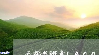 天福茗茶老班章1400克价格