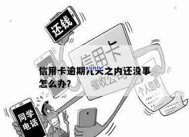 信用卡逾期多久没事啊-信用卡逾期多久没事啊怎么办