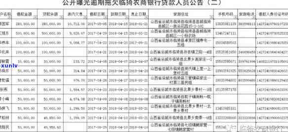 偏关县信用卡逾期-偏关县信用卡逾期人员名单