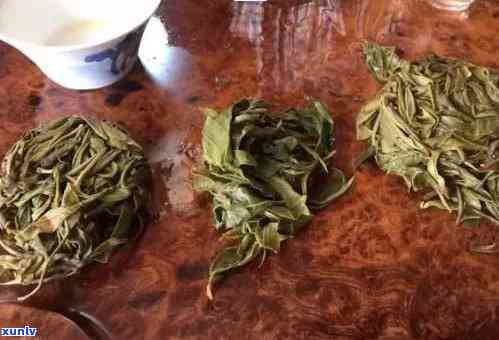 普洱老班章茶叶，探寻普洱老班章茶叶的故事：一场茶文化的深度之旅