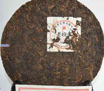 老班章96干仓普洱-老班章普洱茶2009