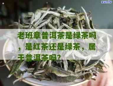 普洱老班章是绿茶吗-普洱老班章是绿茶吗还是红茶