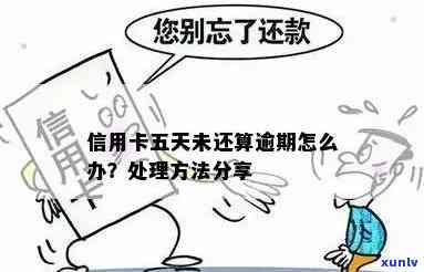 普洱茶加盟条件及相关费用要求：如何加盟陈升号普洱茶店？