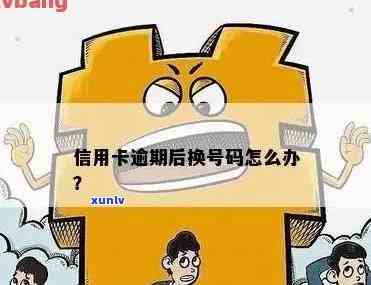 信用卡逾期查到新号码怎么处理及后续措