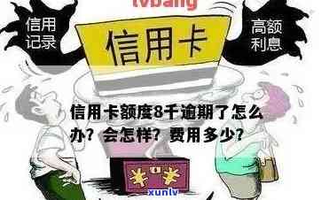 信用卡恶意逾期8千-信用卡恶意逾期8千元怎么办