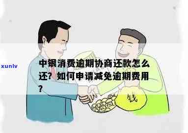 逾期了,可以申请减免费用吗，怎么办？两年后如何还款？