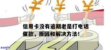 信用卡逾期老是打 *** 怎么办，解决信用卡逾期 *** 的有效 *** 