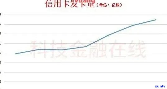 2020年信用卡逾期情况综合汇报：统计与数量分析