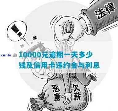 信用卡10000逾期1年2年利息多少及逾期一个月1天5天后果