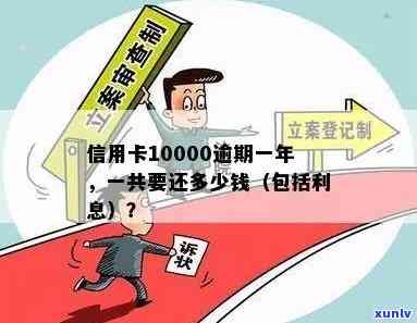 信用卡10000逾期1年2年利息多少及逾期一个月1天5天后果