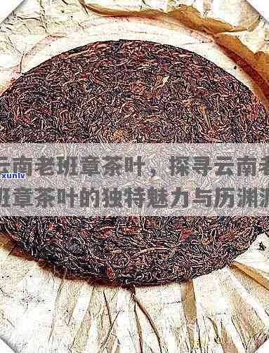 探寻普洱茶之魂：老班章茶叶的独特魅力