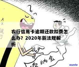 农行信用卡逾期申请分期怎么还款,2020年法规,期还款,一年逾期利息退吗