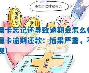 晚了5天还信用卡：逾期、忘记还、未还款的影响解析