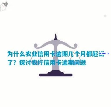 为什么农业信用卡逾期几个月都起诉了 农业信用卡逾期起诉原因解析