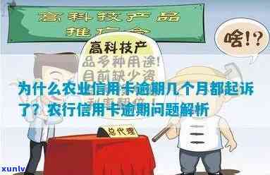 为什么农业信用卡逾期几个月都起诉了 农业信用卡逾期起诉原因解析